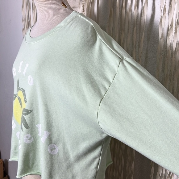 Wildfox Mint Colored “Hello Limoncello” Oversized Sweatshirt XS/L - Picture 4 of 9